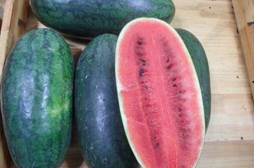 山东两位网红吃瓜,山东网红挑战“极限吃瓜”大比拼 第3张 山东两位网红吃瓜,山东网红挑战“极限吃瓜”大比拼 第3张